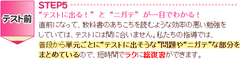 STEP５、テストに出る！とニガテが一目でわかる